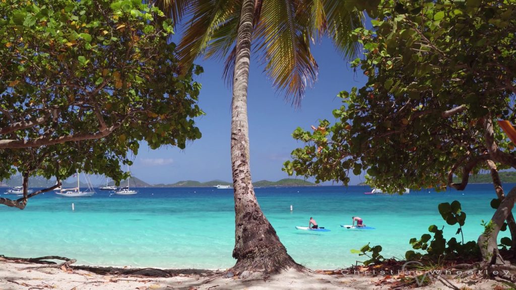 شهر العسل على الشواطئ تجربة متميزة تتطلب ترتيبات عليك معرفتها