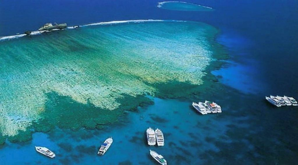أجمل الجزر في البحر الأحمر بالسعودية لقضاء شهر الأحلام