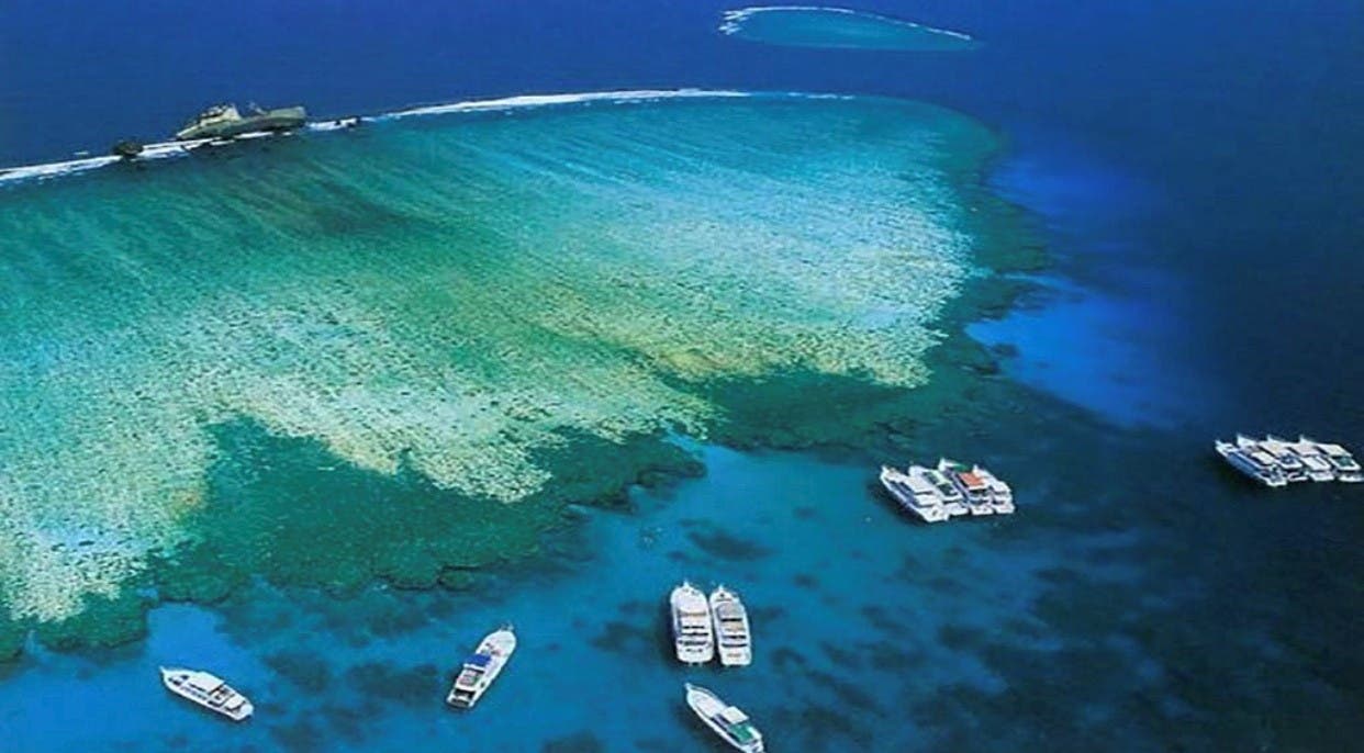 أجمل الجزر في البحر الأحمر بالسعودية لقضاء شهر الأحلام