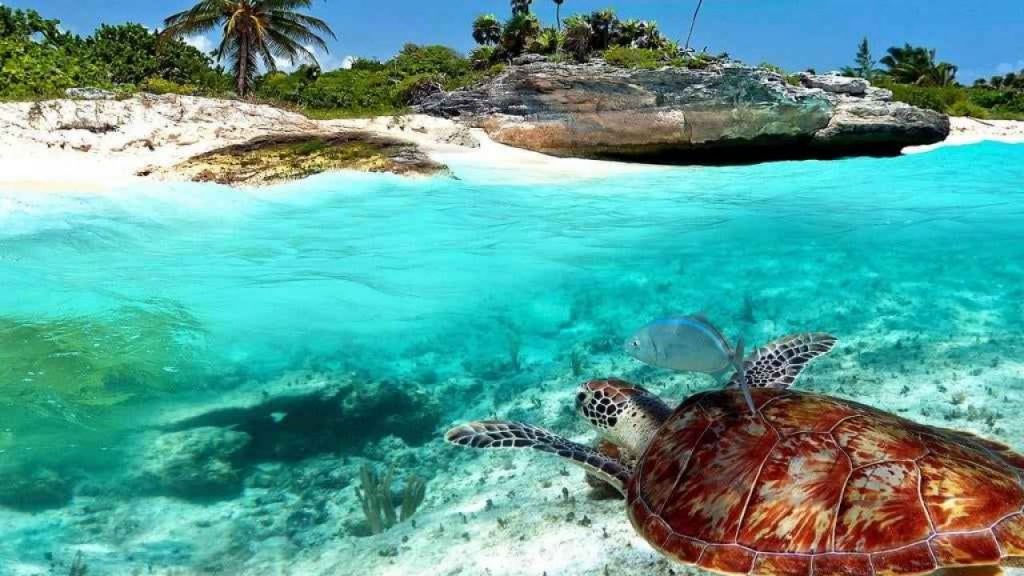 جزيرة زنجبار في تنزانيا وجهة سياحية مميزة لقضاء شهر العسل