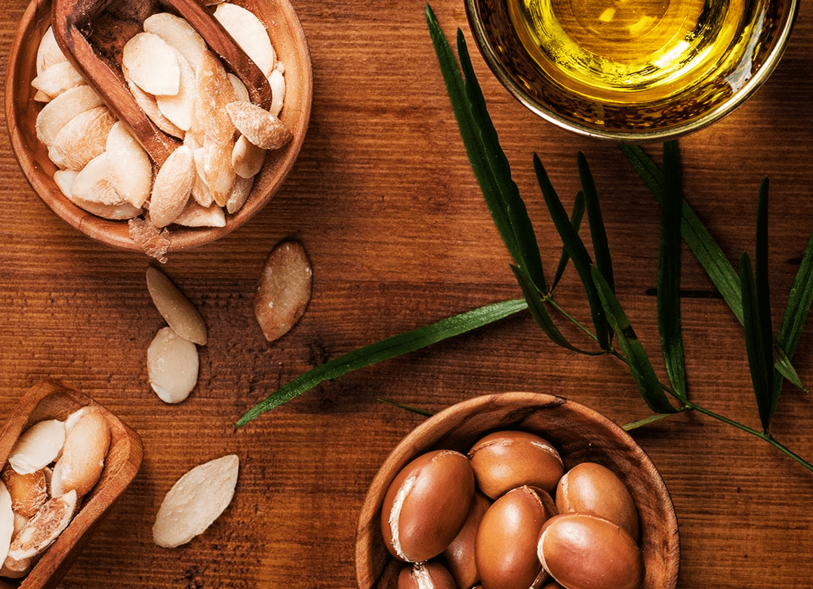 اكتشفي معنا فوائد زيت الأرغان للعناية بجمالك