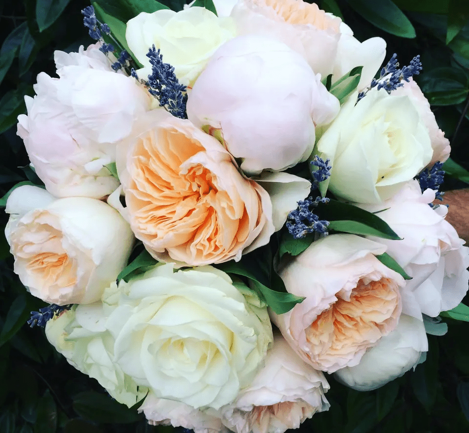 موضة بوكيه العروس