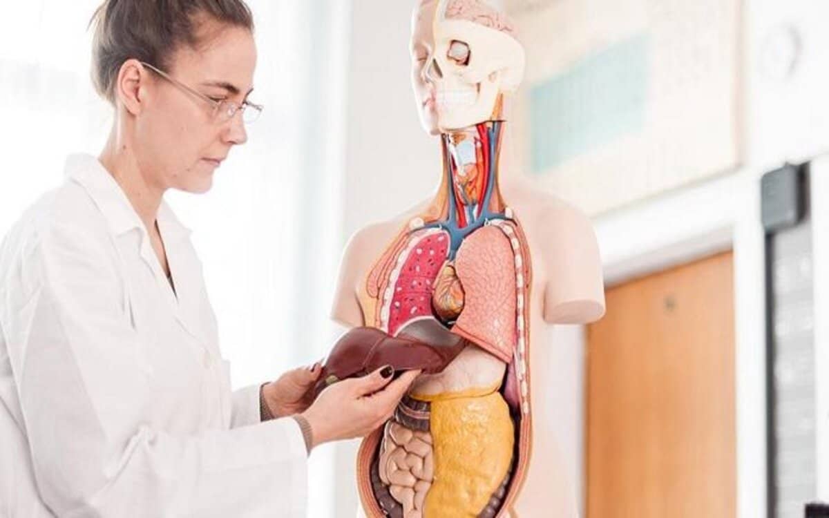 أعراض تسمم الكبد