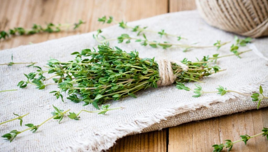 فوائد الزعتر للبشرة والشعر تعرفي إليها