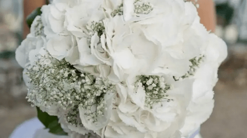 بوكيهات زفاف بيضاء لإطلالة عروس ساحرة