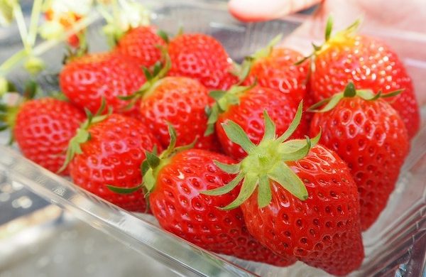 وصفات للعناية بالجسم والشعر 