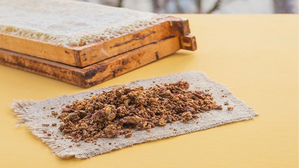 6 فوائد صحية للبروبوليس تجهلينها