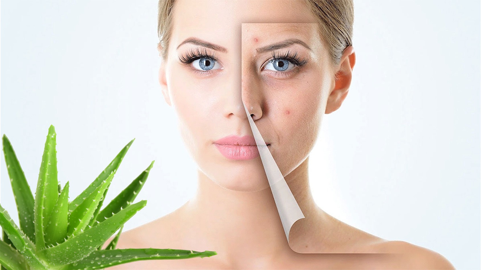 وصفات هلام الصبار للعناية بجمال البشرة