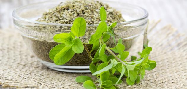 أعشاب لزيادة الخصوبة