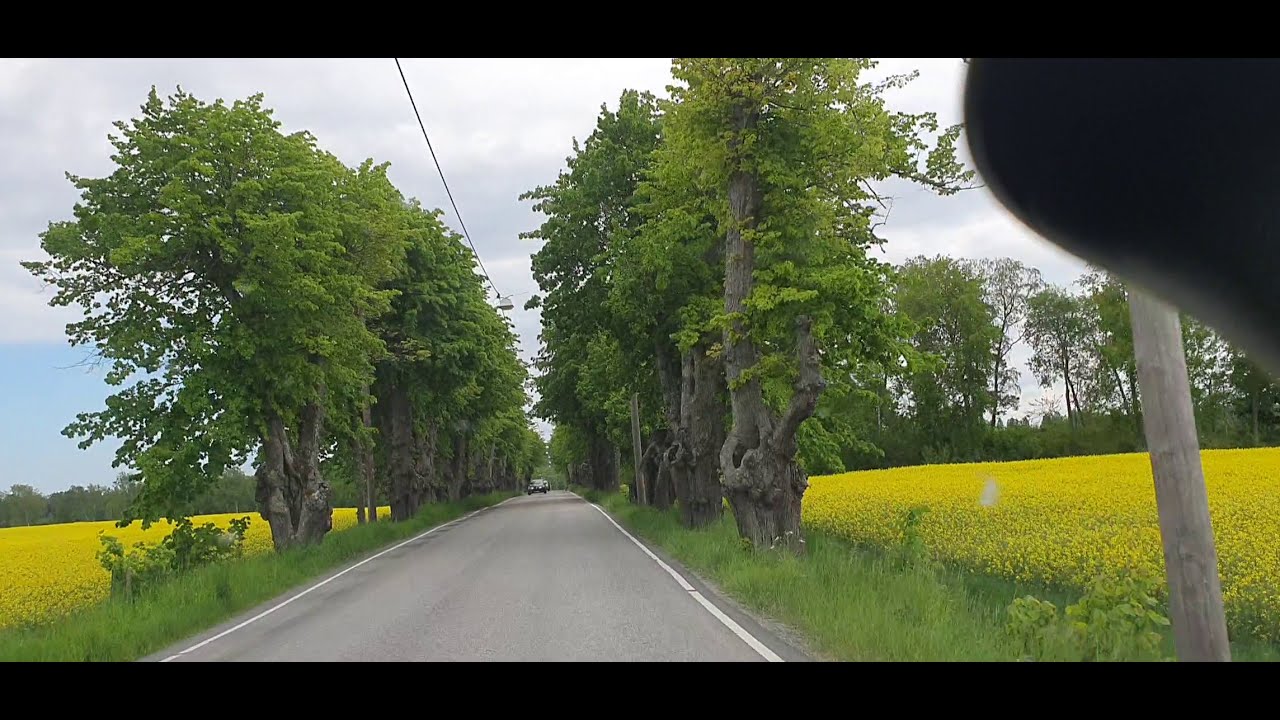 شهر العسل في السويد