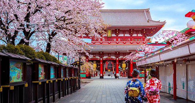 شهر العسل في اليابان .. وجهة سياحية مثيرة