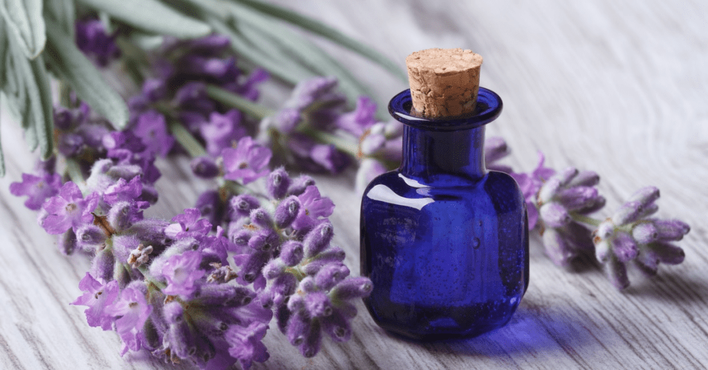 خلطات العروس لتعطير الجسم