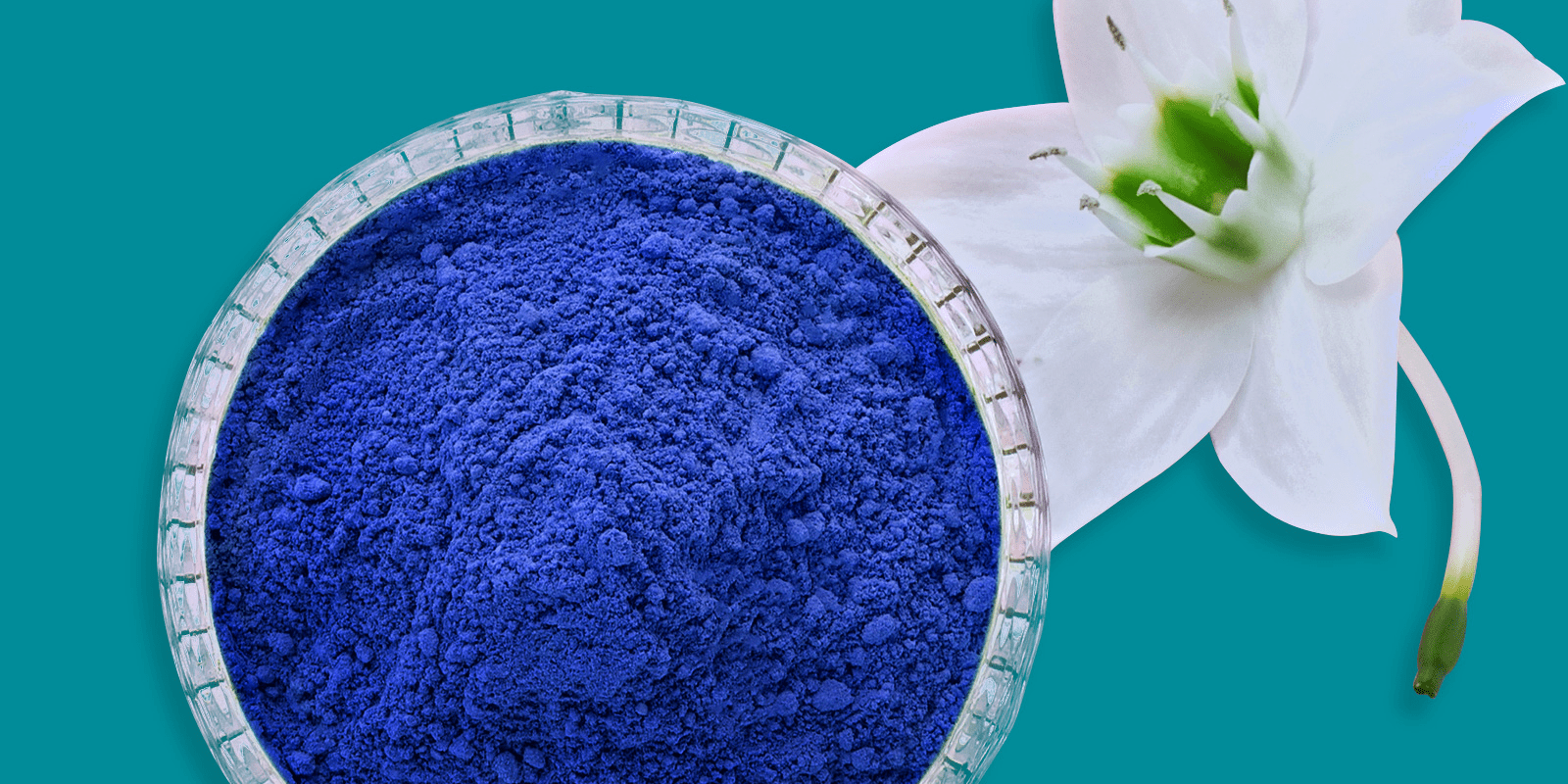 النيلة الزرقاء وكيفية استخدامها