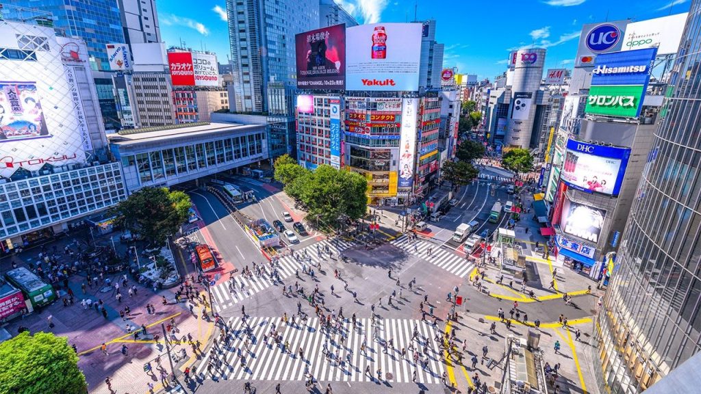 شهر العسل في طوكيو دليلك لاستكشاف عاصمة اليابان الساحرة