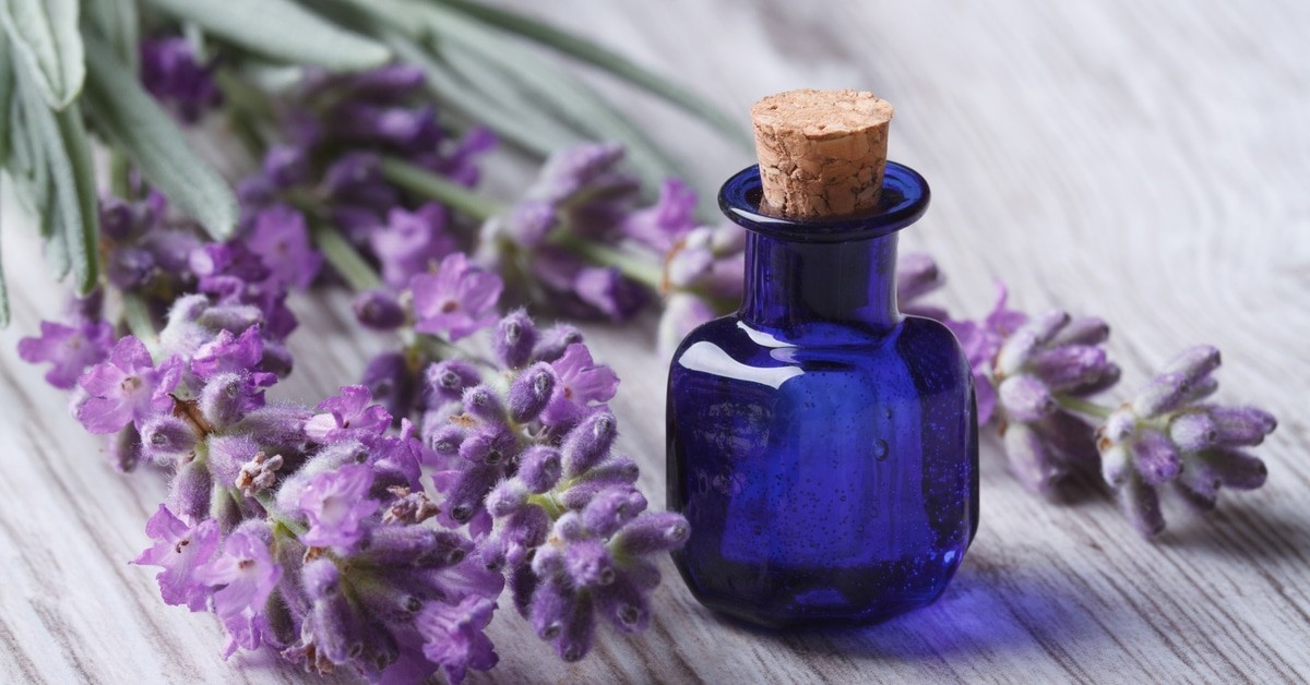 أفضل الزيوت الطبيعية للشعر