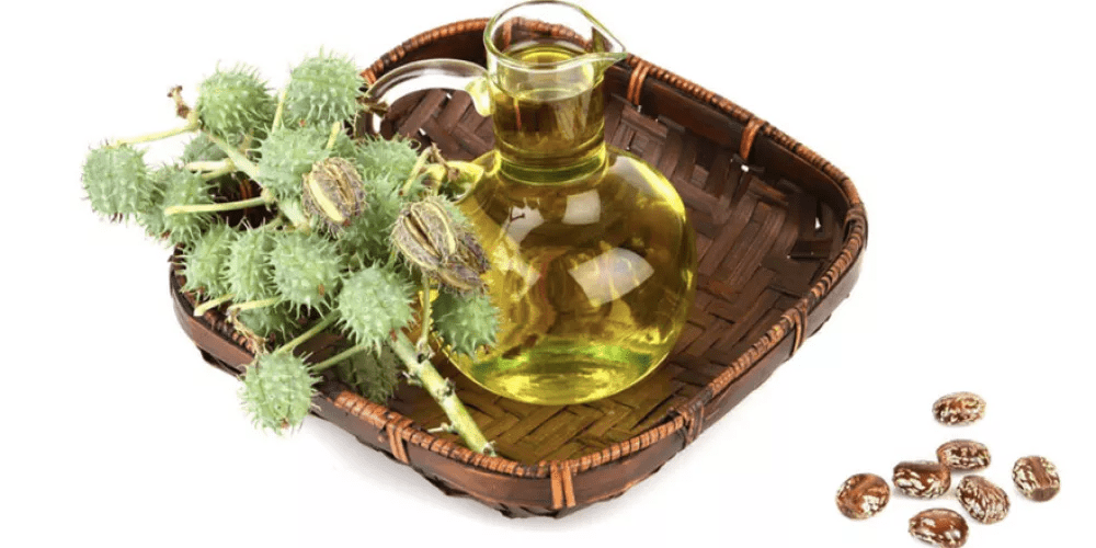 وصفات زيت الخروع للعناية بالشعر : سر الكثافة واللمعان الطبيعي